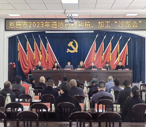 恩施市公共卫生服务综述.docx