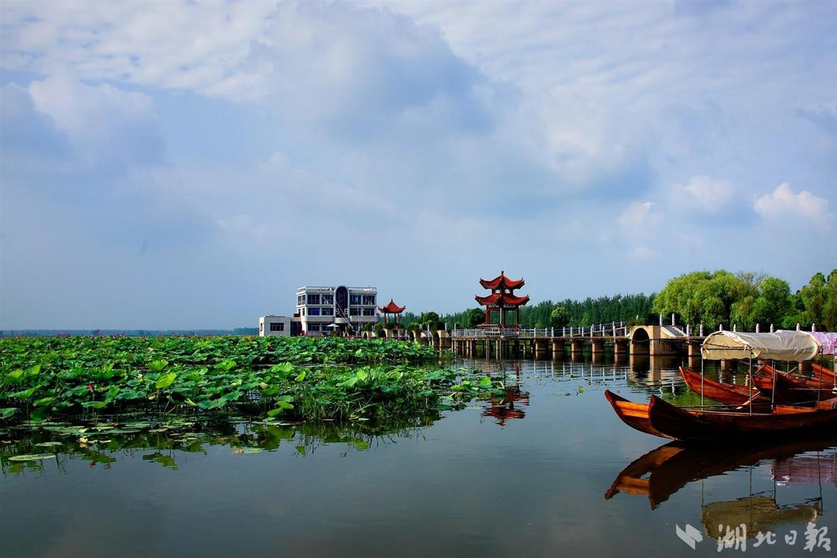 三个省控湖泊中,野猪湖水质同比好转,汈汊湖,东西汊湖水质保持稳定.