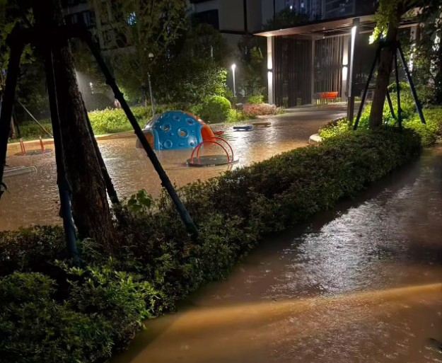 夏季雨水倒灌困扰居民 社区联动多方高效整治解民忧.docx