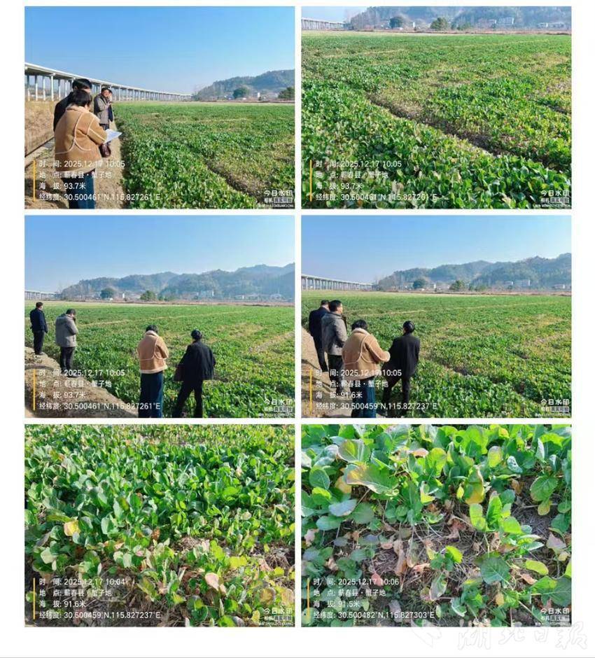 轮作扩种冬季田间管理(2).docx