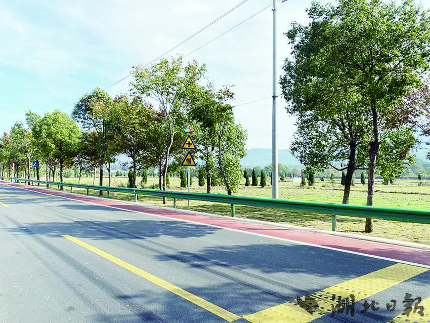 道路旁景色