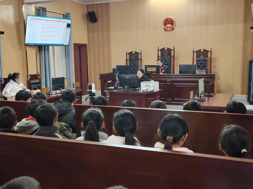 安陆赵棚镇中心小学：庭审观摩零距离 法治阳光润童心.docx