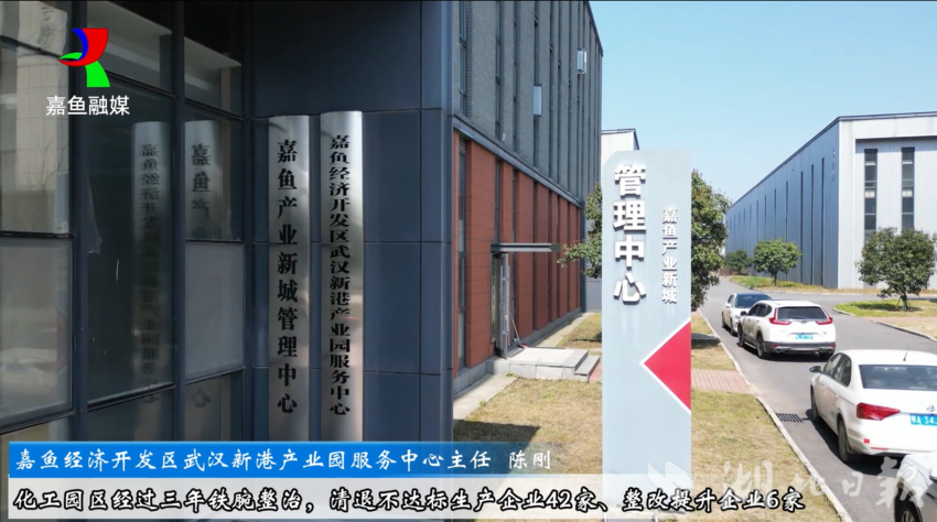 嘉鱼经济开发区武汉新港产业园服务中心主任陈刚.docx