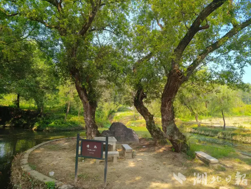 1歧亭杏花村：千年花事，一脉人文.docx