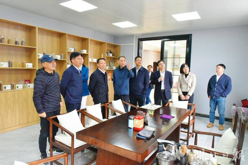 调研新塘乡中药材产业园发展情况