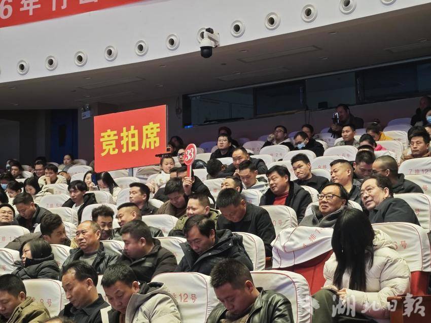 【图文穿插板】2026年竹山县第一届绿松石公盘交易会圆满成功.docx