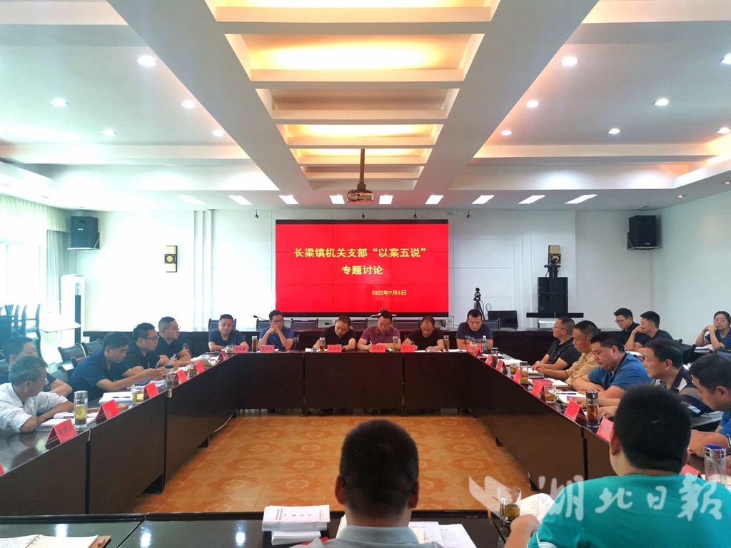 镇机关支部开展“以案五说”专题讨论