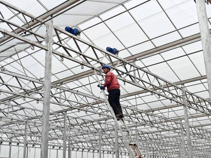 孝南农业双轮驱动：从荒岗粮仓到智慧农场的振兴图景(1).docx