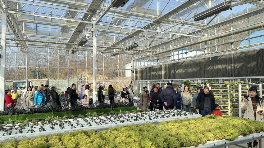 （1231）享福利启新程 “乘着高铁来京山”首月优惠福利成效凸显.docx