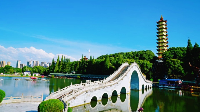 坐着新城快线去赏秋！武鄂黄黄 1h 圈，把绝色秋光装进口袋（10.23定稿）.docx