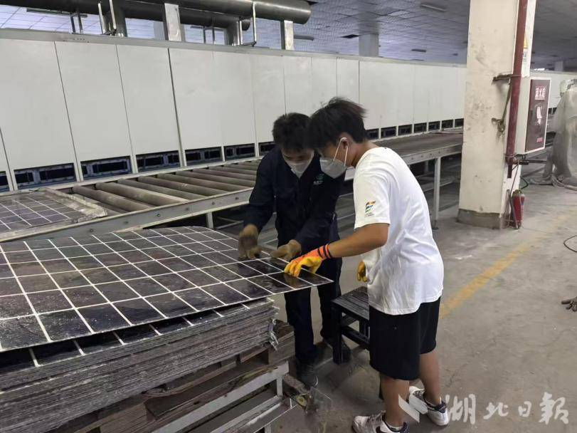 光伏蓝海共建绿色循环，能源转型推动技术攻关——湖大学子探寻硅基光伏组件回收一体化新思路.docx