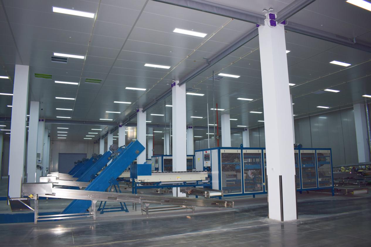 【一线传声】中交二航局宝清冷链物流园项目1号加工车间正式投运.docx