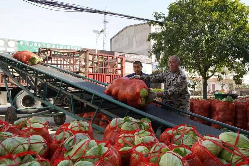 信息 老河口 激活“一轴三联”红引擎，缔造绿岛王府洲.docx