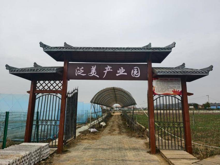 沼山镇朱山东村：紫玉米深加工产品走俏，产业发展迎新机遇(1).docx