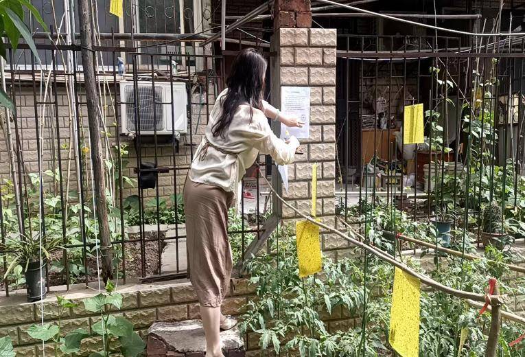 【20250509红梅里社区】一楼菜园臭味扰民  社区城管执法解难题.docx2025.5.7.docx