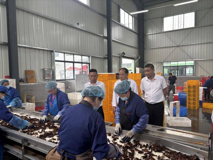 宣传报道-项目建设代表行动.docx