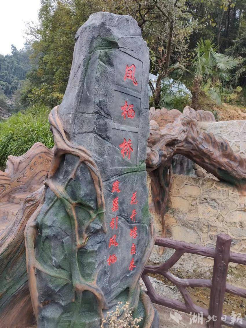 楓樹榜的蛻變.docx