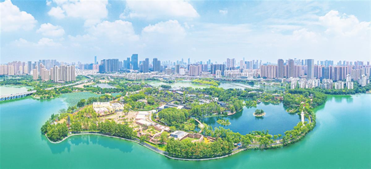 A东湖景区躺椅走红3.png