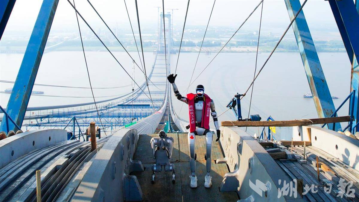 人形机器人和机器狗走猫道。通讯员陆落义摄
