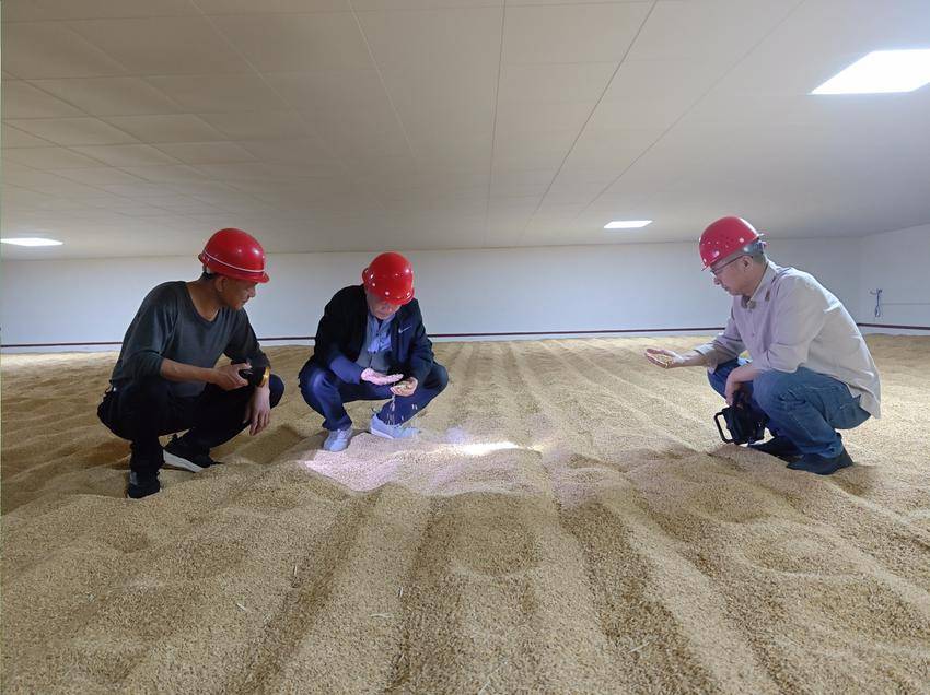 4.16（廖楚雄）南漳县发改局开展粮食系统国家安全.docx