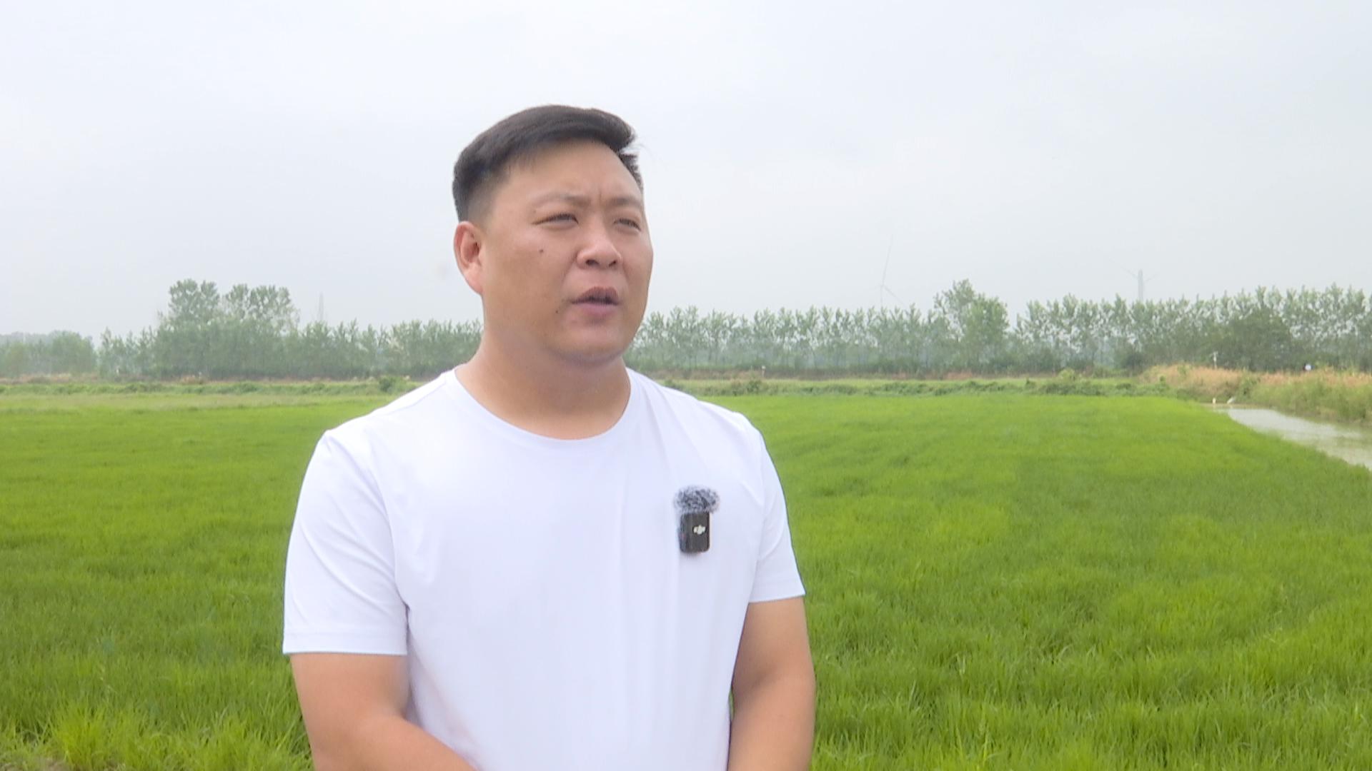 1000003陈1.jpg