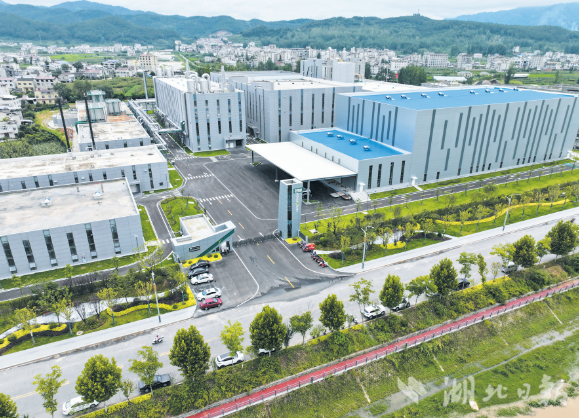 发展合成生物，构建绿色低碳产业体系。