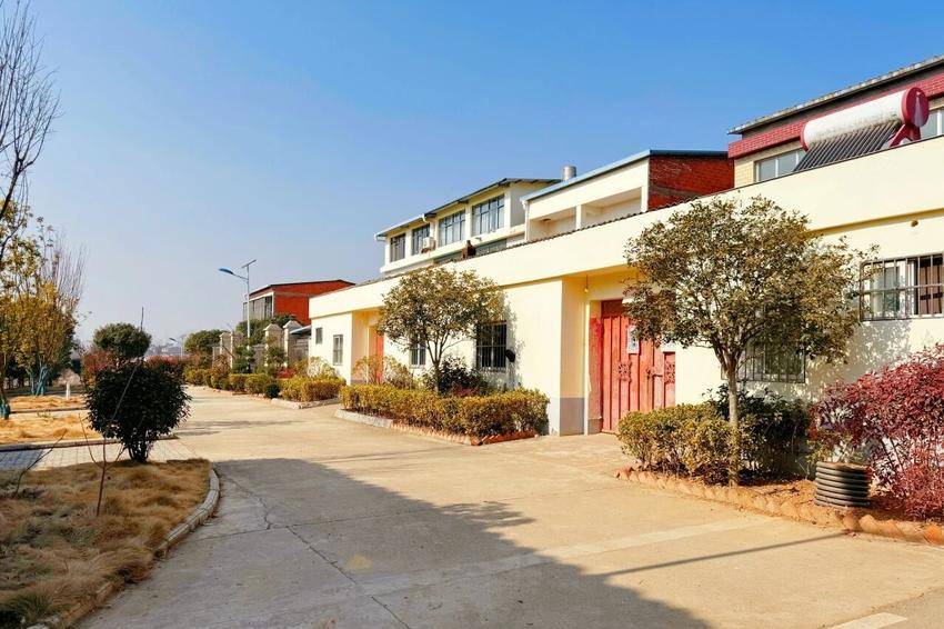 淅河镇“花式”动员激活乡村治理“一池春水”.doc