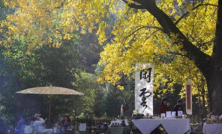 01 深秋初冬来武当山共赴一场仙暇银杏之旅.docx