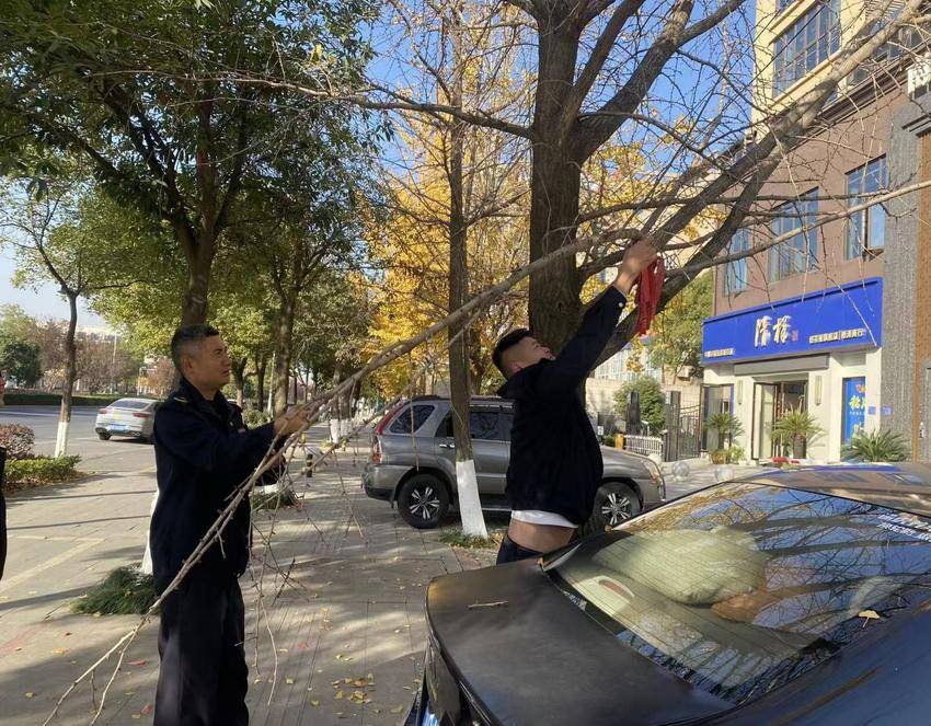 罗家桥街道开展“三小一堆”治理(1).docx