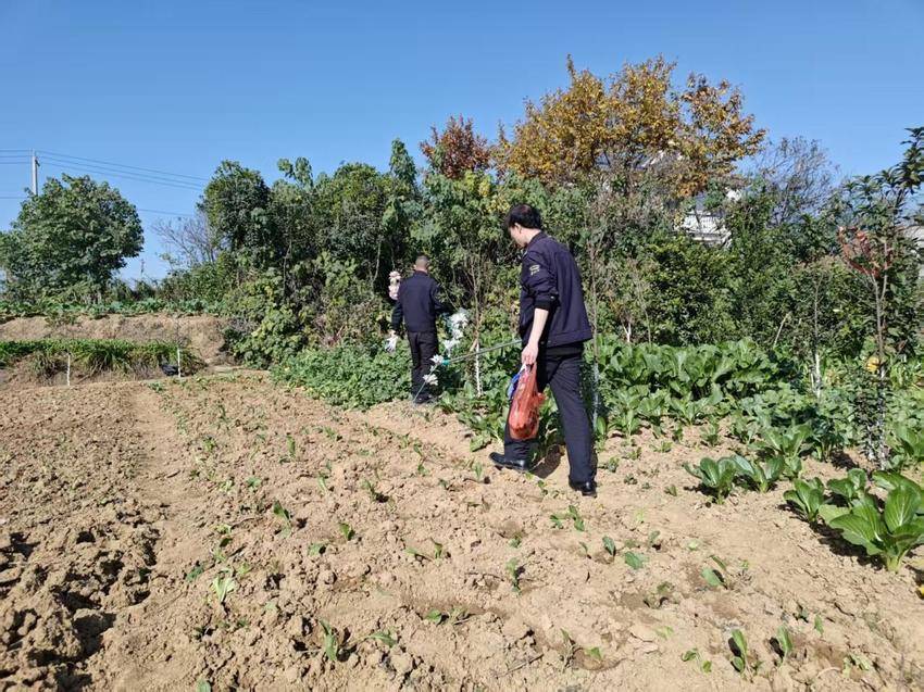 罗家桥街道开展“三小一堆”治理(1).docx