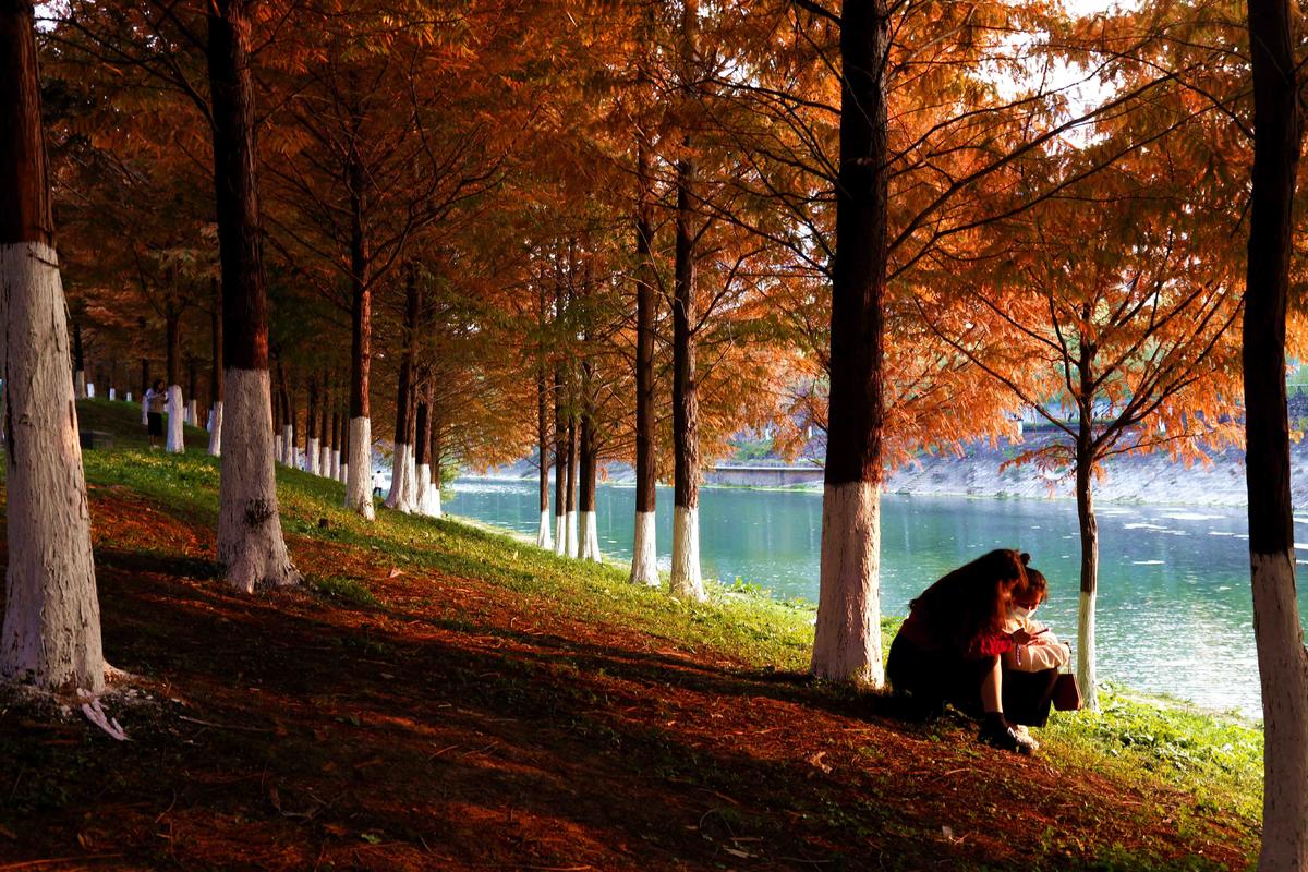 树下拍出美丽（滨江公园）