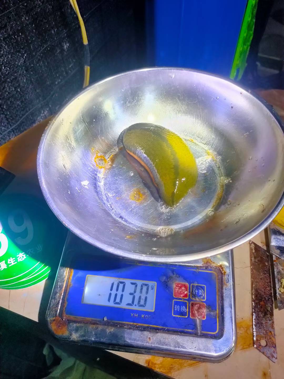 小水蛭“钻”出大产业 高家堰“链”就特色水产新路径.docx