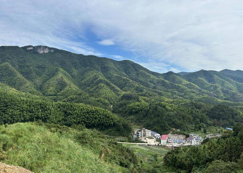王文村金盆山：竹纸染就山河色.doc