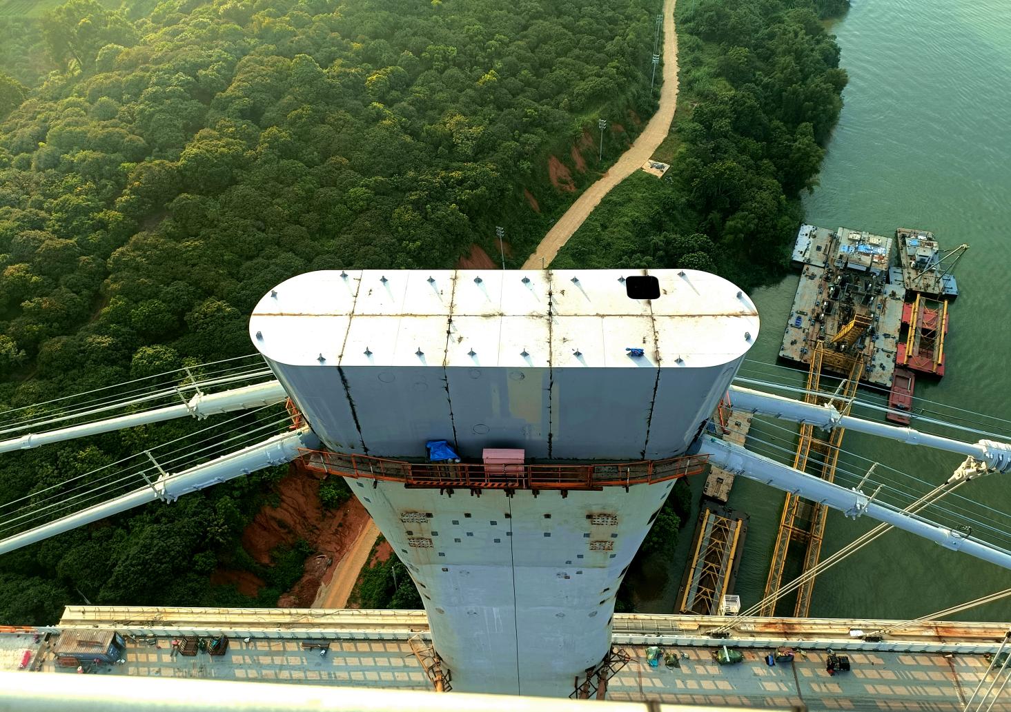 【交通强国】“桂冠”加冕！苍容浔江大桥主塔塔冠安装完成.docx