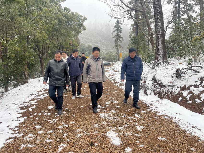 20250304国家林业和草原局管理干部学院一行到京山市调研指导森林防火工作.docx