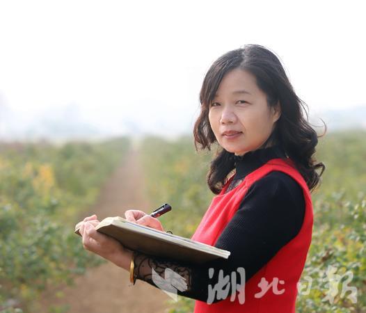 云梦县水利和湖泊局党建办主任