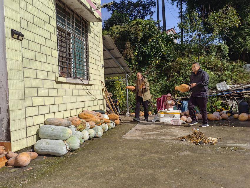 楠木溪村驻村干部：入户听民意 实干解民忧 点亮民心路.doc