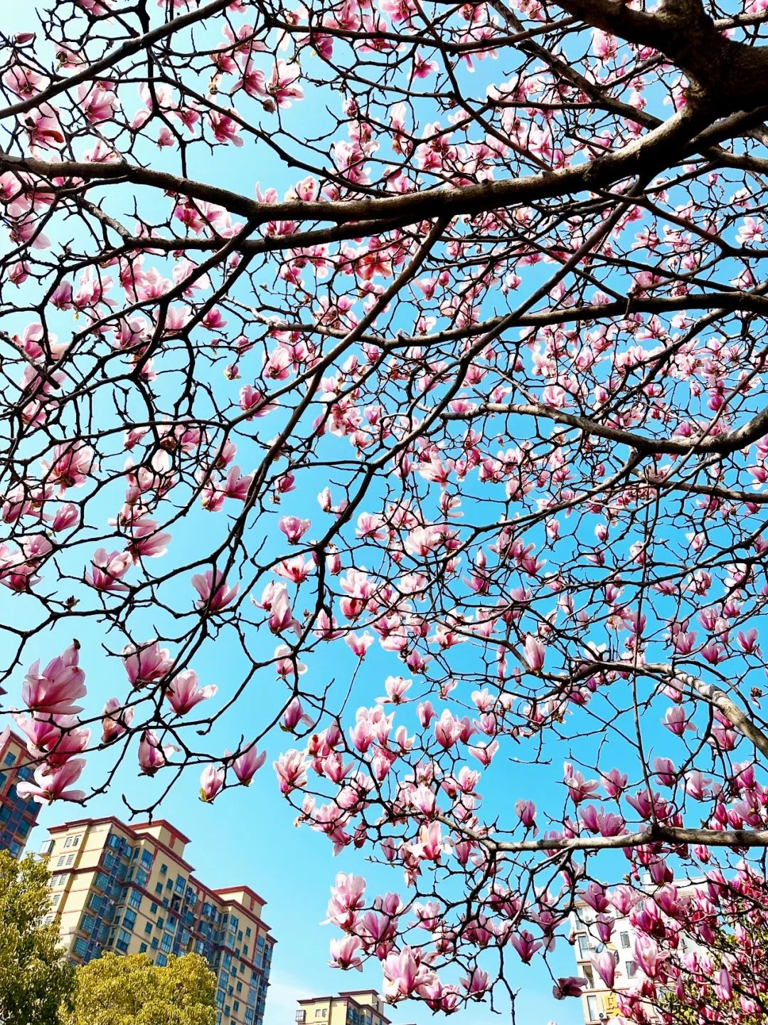 3月18日(3).jpg