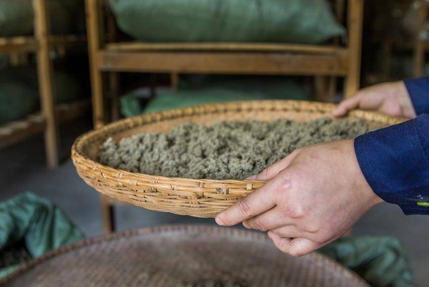 追剧追出养生新潮流？快来蕲春体验明星同款艾灸！.docx