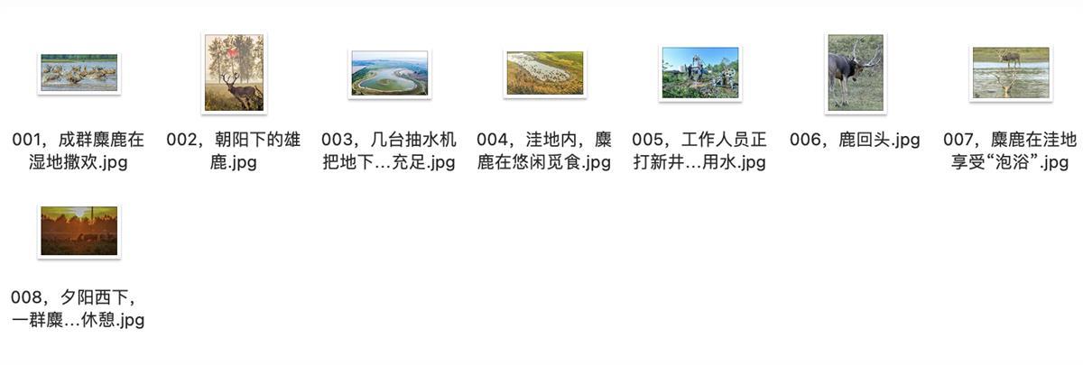 截屏2023-03-14 10.29.23.png