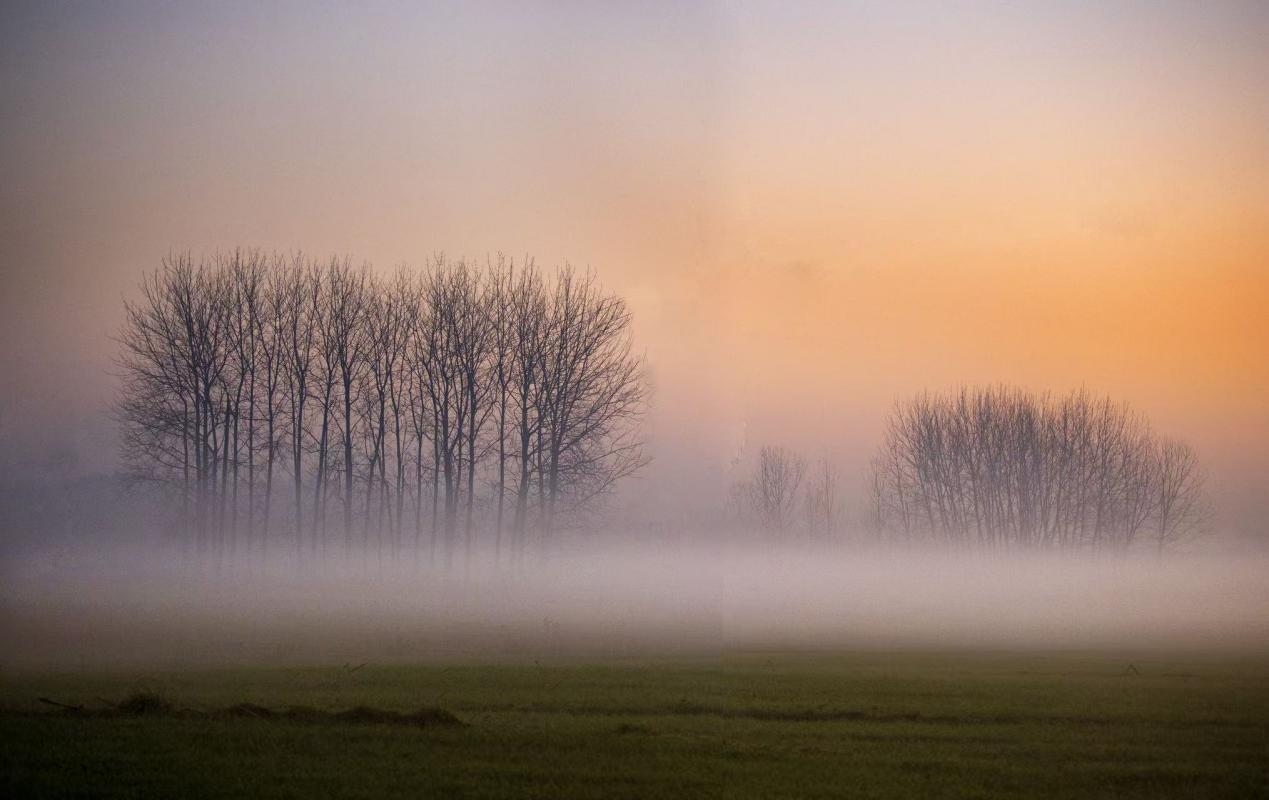 新建 DOCX 文档.docx