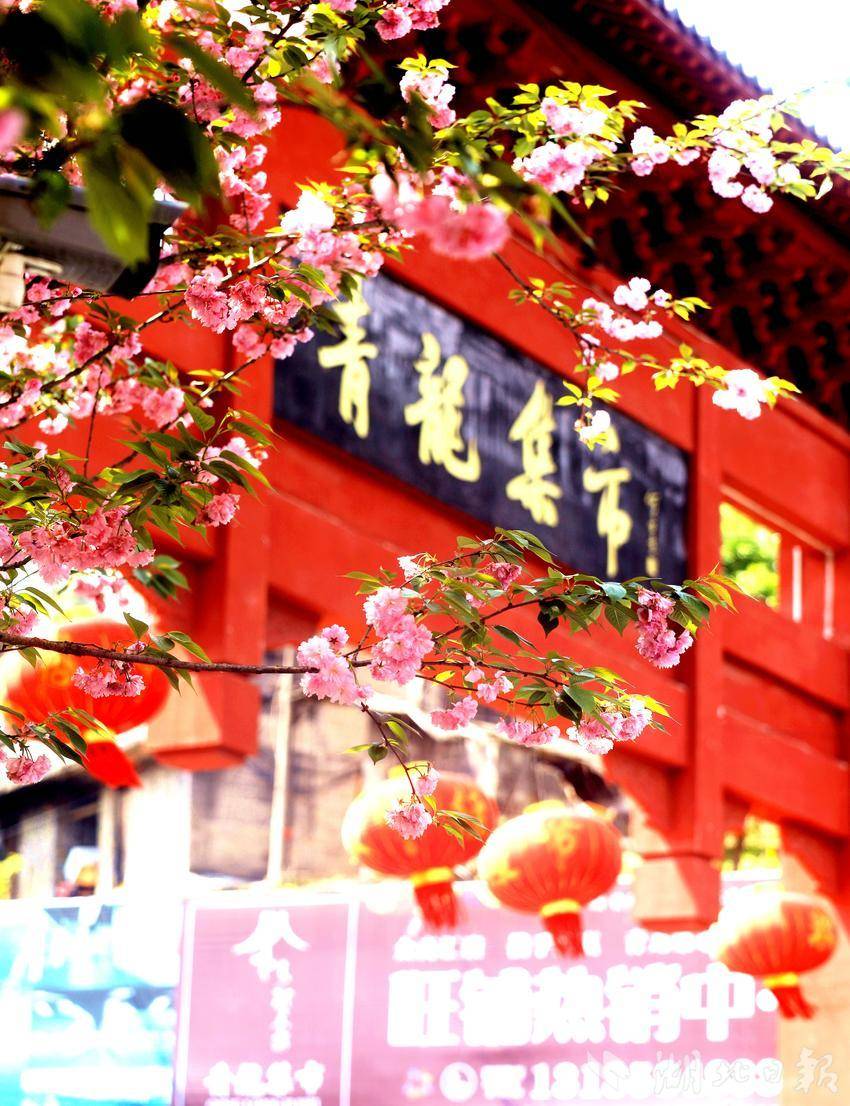 IMGL8174_副本_副本.jpg IMGL8174_副本_副本.jpg