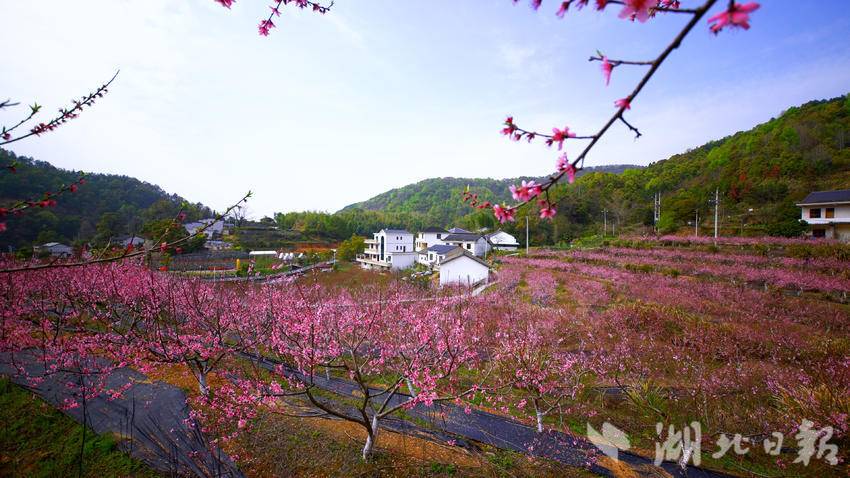 1_余川镇以镇村合作工作撬动共富新动能.docx