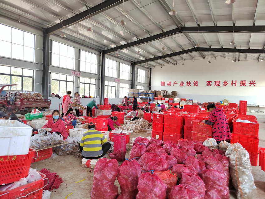 信息 老河口 激活“一轴三联”红引擎，缔造绿岛王府洲.docx