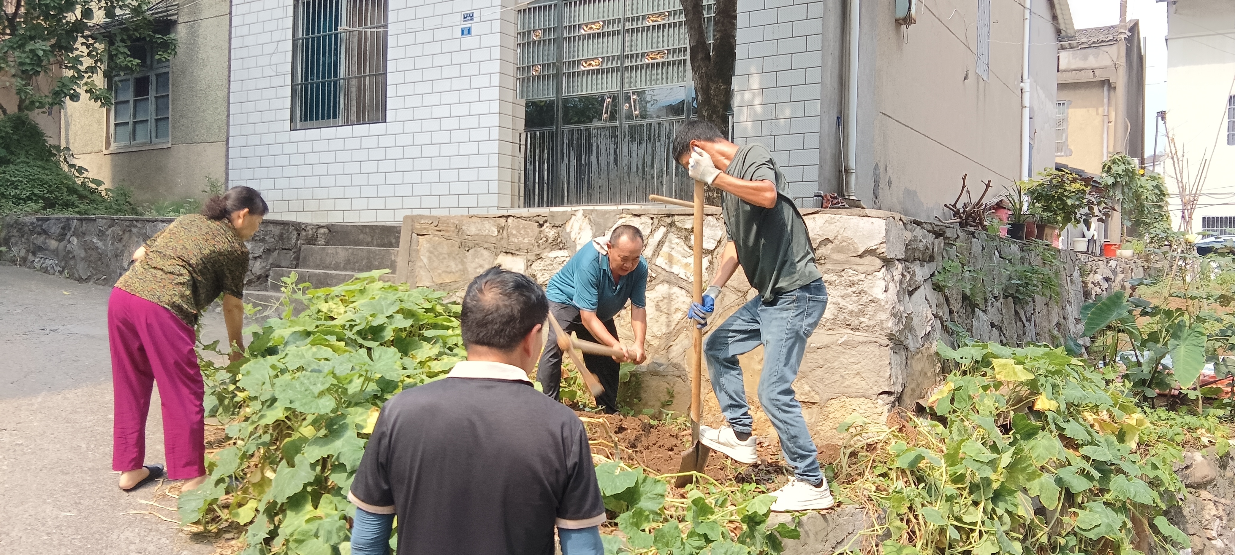 社区居民齐携手 背街小巷路灯明