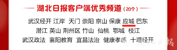 祝贺！应城获评湖北日报2024年度全媒体新闻宣传合作类五个奖项 - 湖北日报新闻客户端