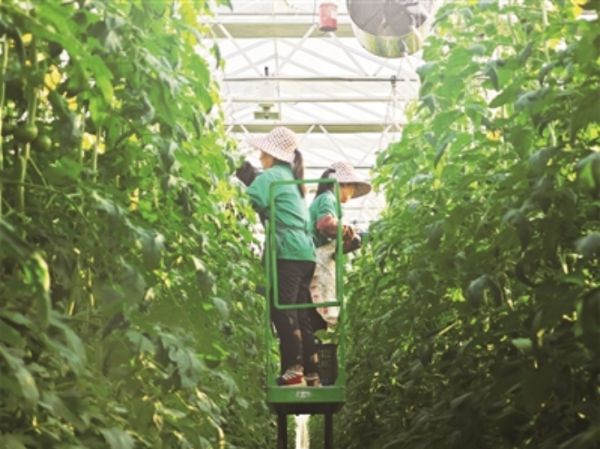 微信截图_20241217094153