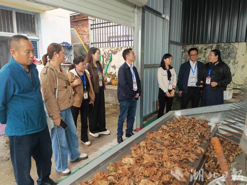 浪河镇人大：赋能非遗创新 激活乡村振兴新动能.docx