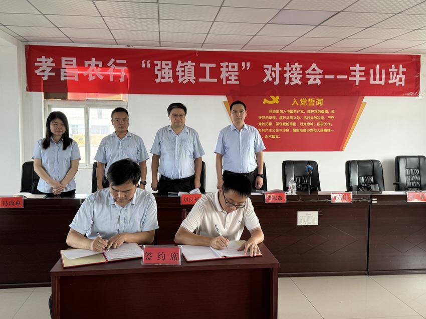 孝感农行金融助力“三强”工程·政银企对接会—孝昌丰山站.docx
