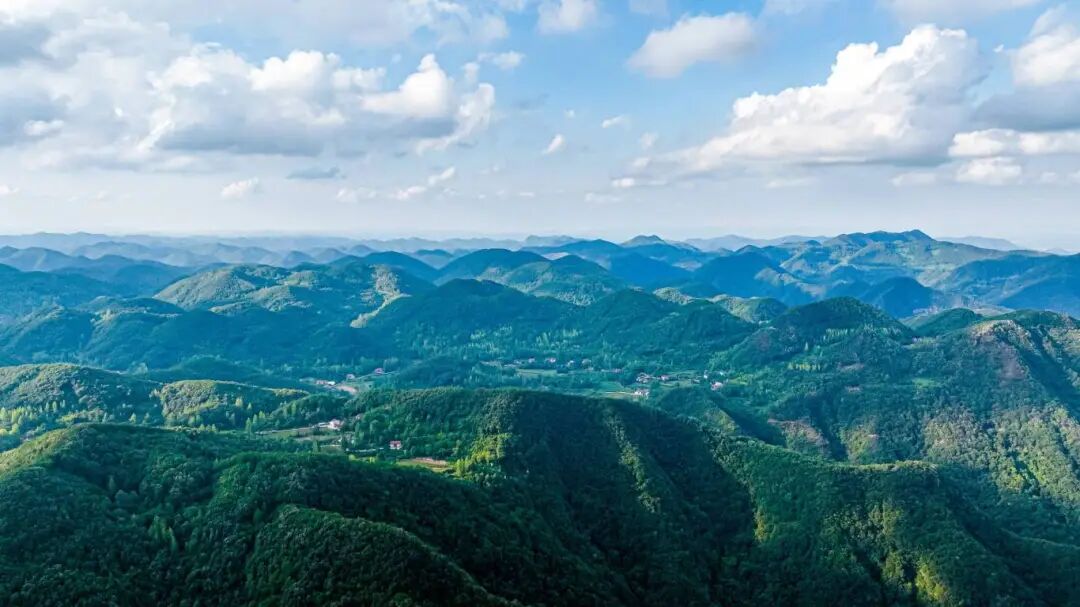 DJI_0210.jpg